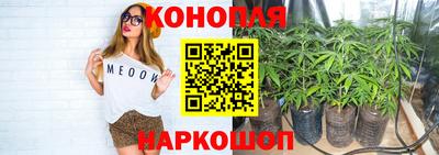 эйфоретик Кимры