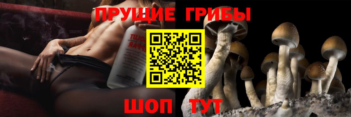Псилоцибиновые грибы Psilocybine cubensis  Галлюциногенные грибы мицелий  продажа наркотиков  Вход с VPN  Лениногорск 